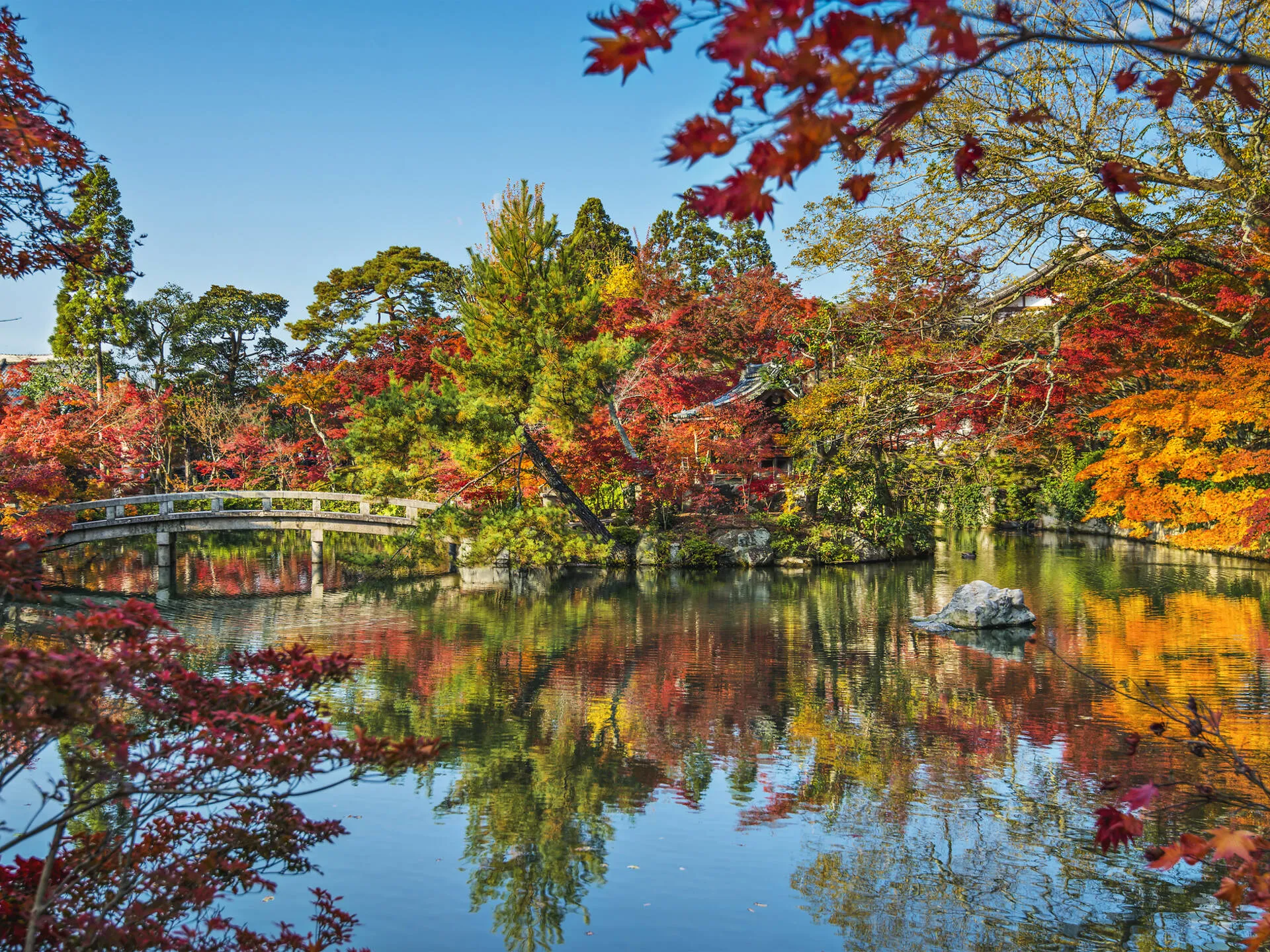 Japanese landscape