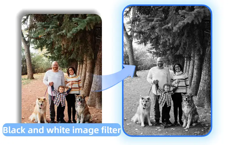Better Contrast and Clearer Details for Every Photo
