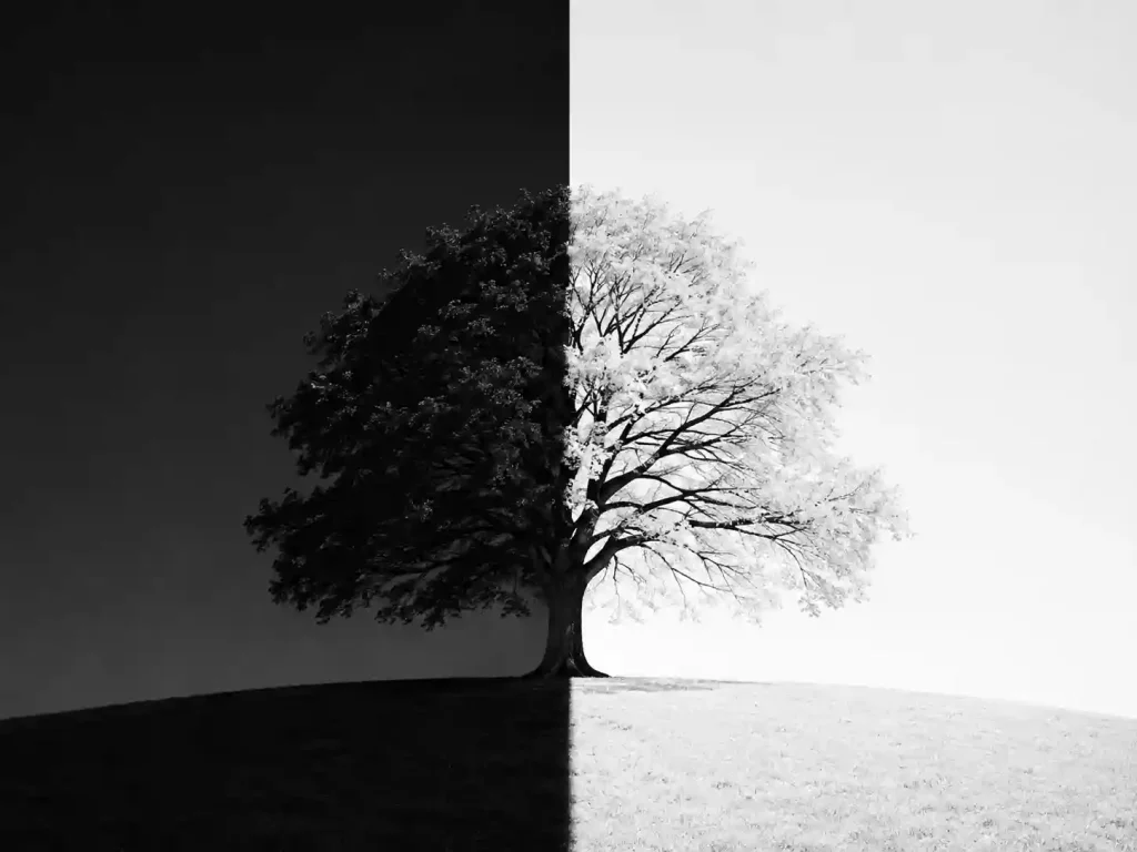 black and white tonal contrast example