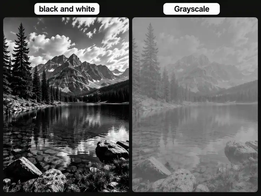 grayscale versus black and white comparison